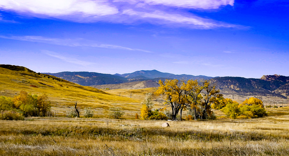 Pattridge Open Space, Leyden, CO